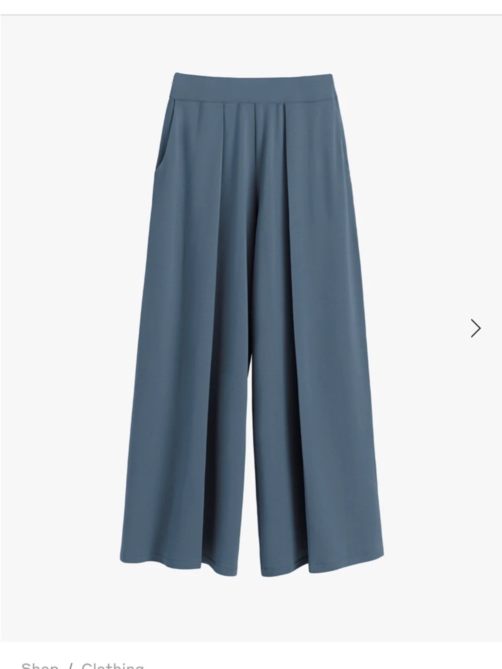 Cuyana French terry cotton pleated wide leg pants. XL